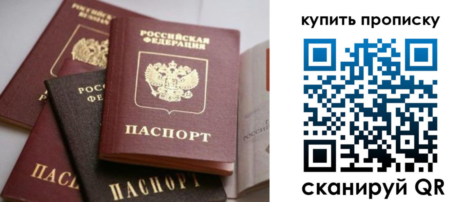 прописка 2025 в Майкопе